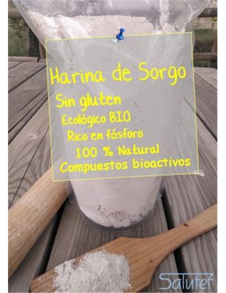 SLTF-OHS