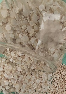 Salutef-copos-quinoa-ecologicos-w.jpg